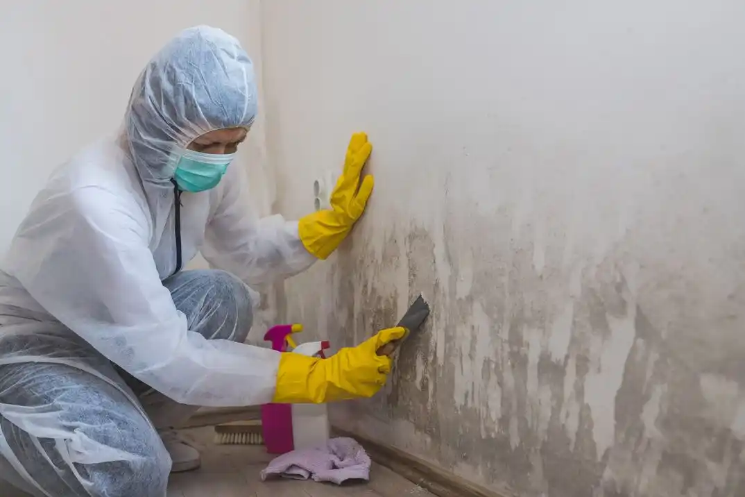 water damage restoration service Oldhouse Run